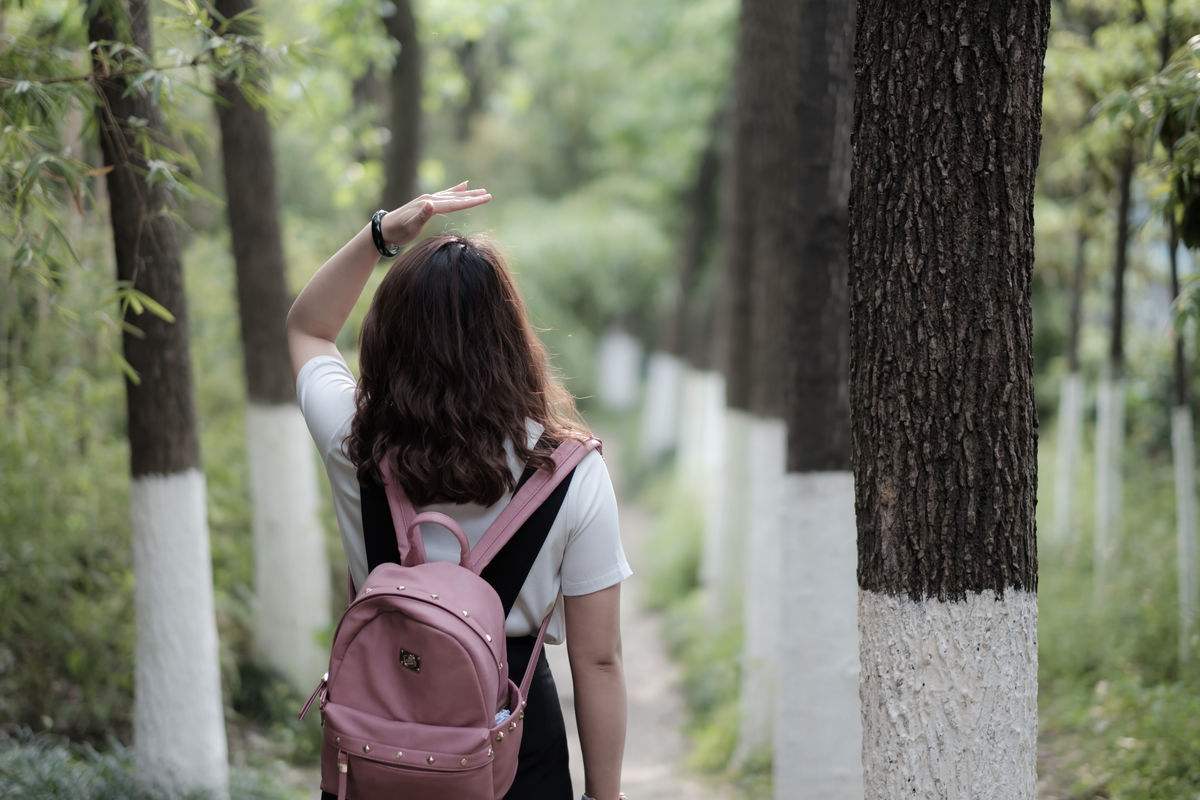 教師資格證考試報(bào)名入口