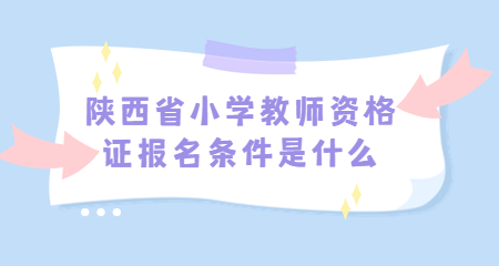 小學(xué)教師資格證